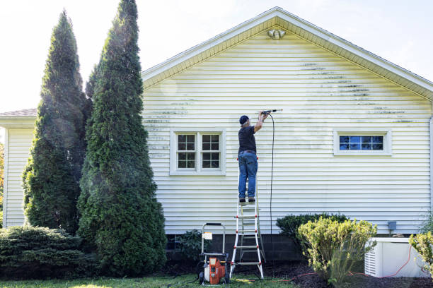 Best Fence Cleaning  in Hayfork, CA
